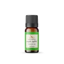 Mosquito-Repellant-Aroma-Oil-10ml-Nirvana-Aromatic-Indulgence.webp